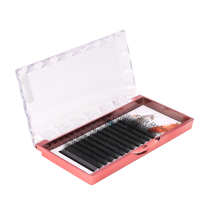 MARIA 10 etui 4D w kształcie l – Eyelash Extension Logo recenzja i cena